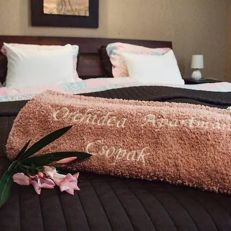 Orchidea Lejlighed *