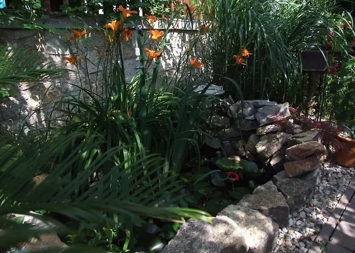 Orchidea Apartamento *